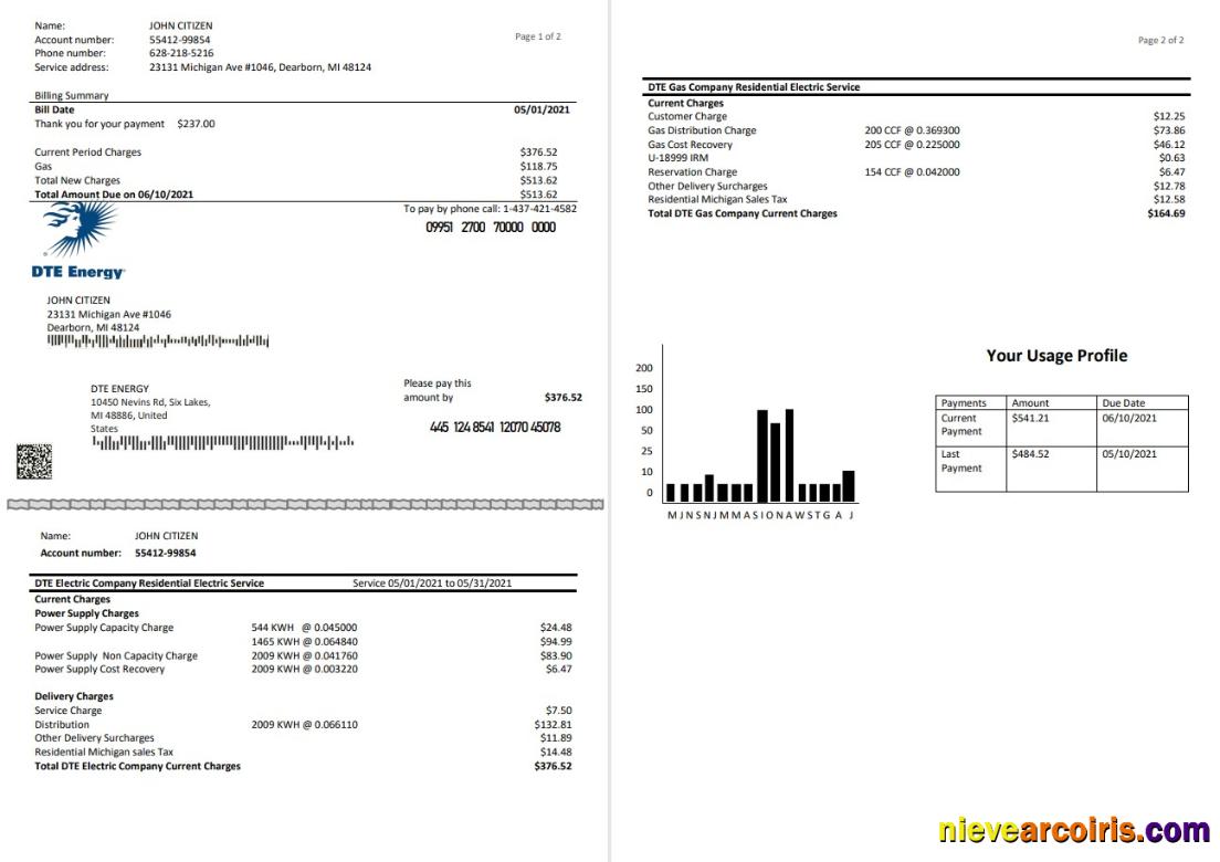 USA DTE Energy utility bill 2 pages
